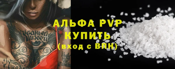 индика Абинск