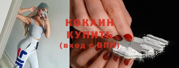 индика Абинск
