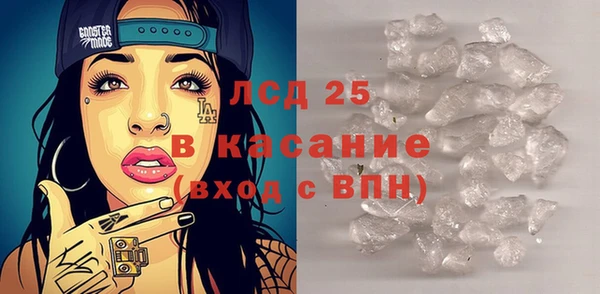PSILOCYBIN Липки
